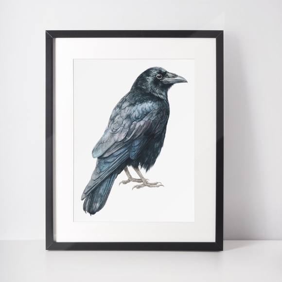 Watercolor Black Crow Wall Art Print Unframed - Black Bird Illustration Artwork - Picture 3 of 6
